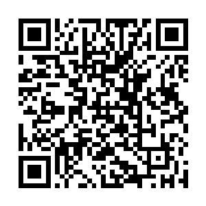 一些大骨器师拿出来测试的骨器往往会达到更高的分数二维码生成