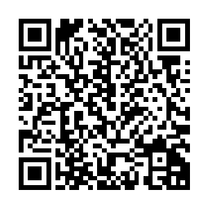 一些天赋极佳的妖族也可以在法则之力三万点之前修炼出妖解二维码生成