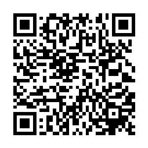 一些实力弱一点的圣族纷纷开始向圣族天才发信息二维码生成