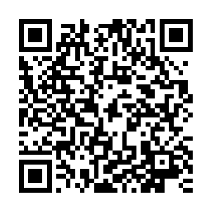 一些已经死忠崇拜韩风的内院武者开始反驳起剑帝必胜论的武者二维码生成