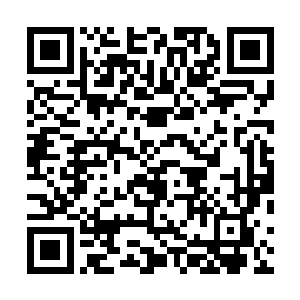 一些强大的主宰级势力才有可能拥有那么一艘星系级星舰二维码生成