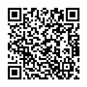 一些心理承受能力低一点的人此时已经开始嚎叫和悲鸣了二维码生成