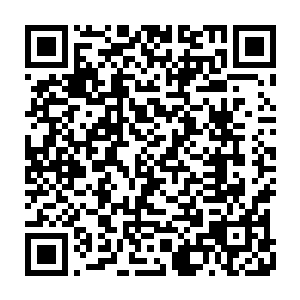 一些打下手的研究生之类的也都甩开了膀子准备投入这项伟大的研究中去二维码生成