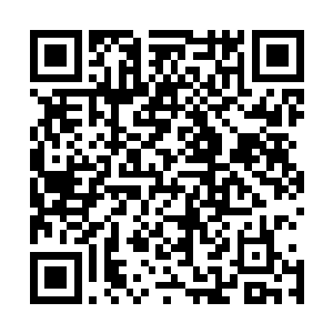 一些比较值钱的耳环钻饰之类的珠宝也全都安静的躺在哪儿二维码生成