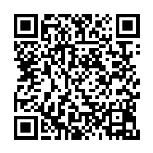 一些特殊的丧尸和变异兽更是可以爆出各种道具二维码生成