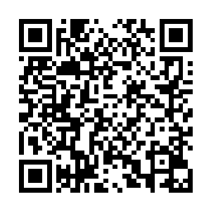 一些还未炼化成源液的上品灵石也直接丢给了育兽空间二维码生成