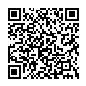 一些阵容强大的拳击比赛在这里你方唱罢我登场二维码生成