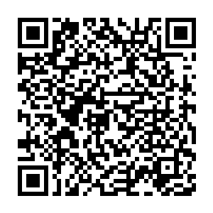 一些随身带枪的警察拿起枪对准了已经分别咬住一个人的林sir等人二维码生成