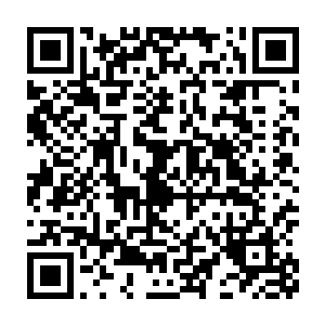 一些雌性的巨灵兽分别从各自的屋子抱出十多个刚刚出生的小巨灵兽二维码生成