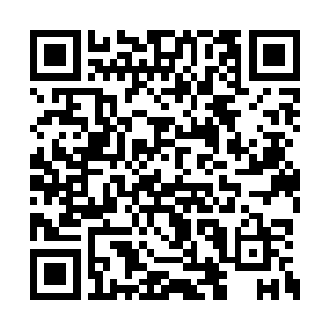 一些雷家精英这个时候已经开始埋怨上藏青胡了二维码生成