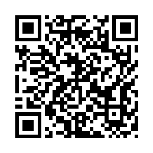 一人一兽开始了游历斗气大陆的日子……二维码生成