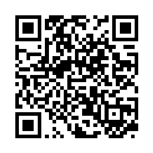 一人一猫久违地又享受了一把蛋糕的香甜二维码生成