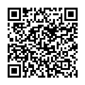 一人一猫的互动让刚刚进来的小青着实有些摸不着头脑二维码生成