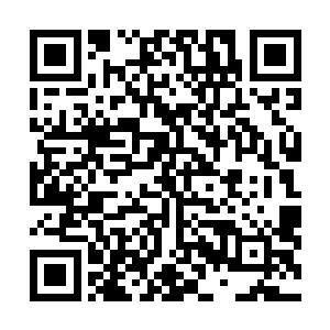 一人一骑冲近后才发现此草原和一般的草原有很大的不同二维码生成