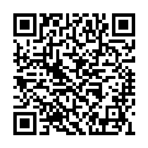 一人之死理当不会让自己出现这么大的情绪波动二维码生成