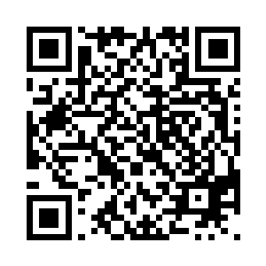 一件件灵材被楚晨小心的扔进火鼎之中二维码生成