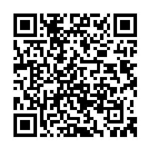 一件能够给神海期武者使用的灵器已经造价不菲二维码生成
