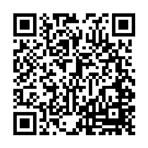 一件阿迪达斯的长羽绒服下面是一身耐克的运动便装二维码生成