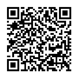 一份关于莫小鱼的调查报告发到了白鹿的邮箱里二维码生成