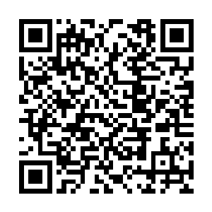 一份申请应得到基金会伦理道德委员会的签字通过二维码生成