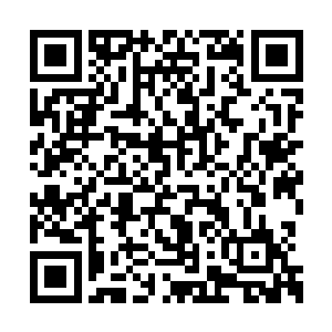 一众照看药山的门徒全都露出了幸灾乐祸的表情二维码生成