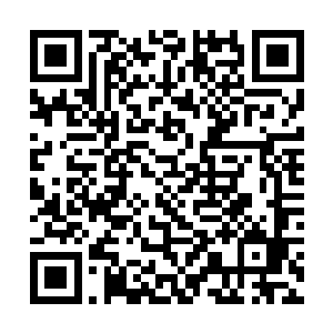 一众许家血脉弟子一个个立刻兴奋地从水中跳了起来二维码生成
