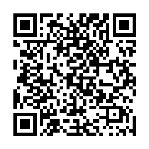 一会儿传令幽冥二使带一对血刀卫去陨神之地外围查探一下二维码生成