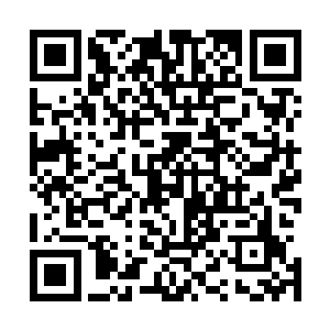 一会儿微微抬头看看萧黎离去的已经看不到半点背影的方向二维码生成