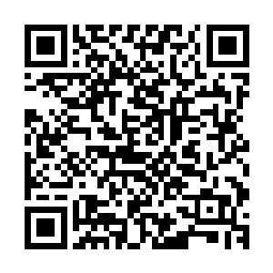 一位伸手绝不像一个姑娘的姑娘对着贝海几乎就是用喊的说道二维码生成