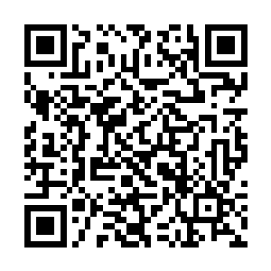 一位头发染成红色形如吸血鬼一般的欧洲人轻声说道二维码生成