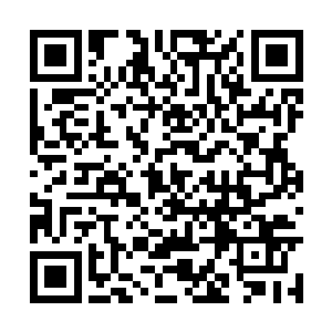 一位年龄大约三十左右的男子出现在江帆等人面前二维码生成