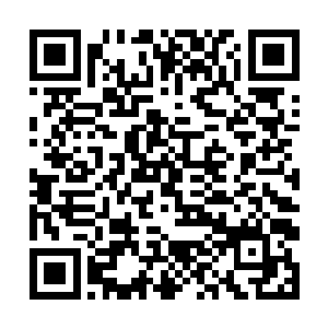 一位戴着黑框眼镜的中年女同志狐疑地看了杨眉一眼二维码生成