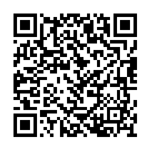 一位披着绿色法袍的绿发青年昂首阔步走了出来二维码生成