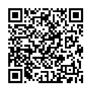 一位眼力不错的圣域巅峰六重天极限真传弟子倒抽一口气二维码生成