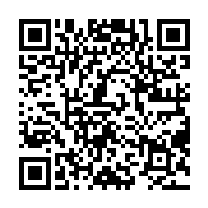 一位穷酸老书生模样的老人手里提着一尾树枝穿鳃的鲤鱼二维码生成
