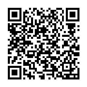 一位空姐满脸惊喜的看着那个坐在秦洛旁边的男人二维码生成