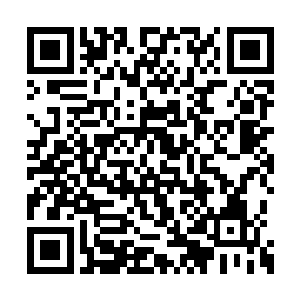 一位蓝衣少年目光炙热的看着曲承泽手上的令牌二维码生成