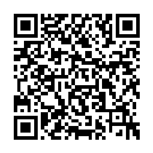 一位貌似领头模样的男子看到车上的秦宇和坦克二维码生成