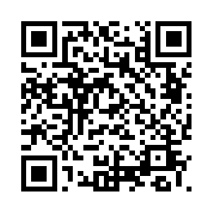一低头就看到一个小虎鲸正伸着脑袋顶着自己二维码生成
