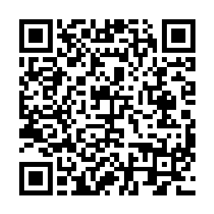 一共八百一十名大组最强的弟子全部集中在了中心武道馆二维码生成