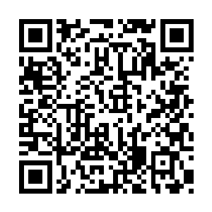 一具死状奇惨的尸体被蒙太奇地切换到了镜头中二维码生成