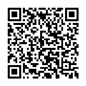 一准儿不能让这帮子老鬼子对这些鲸鱼洗脑成功二维码生成