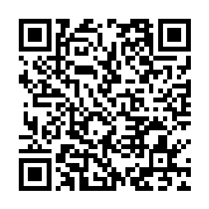 一出世便被判定为换上了极其罕见类型的先天性心脏病二维码生成