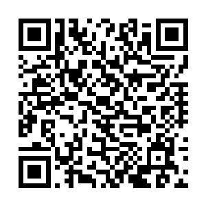 一出手便钓上这么一个有潜力有财力有背景的大人物二维码生成