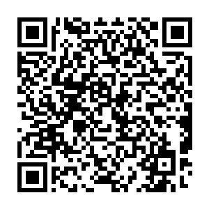 一出来外面不知道等了多久的凌雅就赶紧把锅里热着的炖鱼端了出来二维码生成