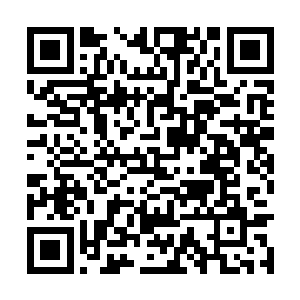 一出现在祭坛空间之内许紫烟便做好了战斗的准备二维码生成