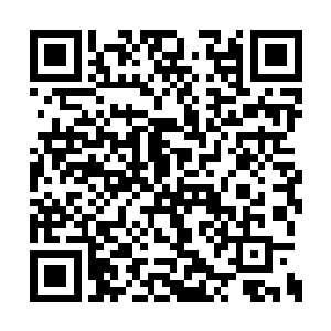 一出现过后便是迅速的朝着四个人这边扑了过来二维码生成