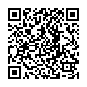 一刀刀带着力量判定加成的攻击不断蚕食着他的身体二维码生成