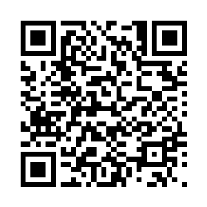 一切交给了十一名经验丰富的老专家二维码生成