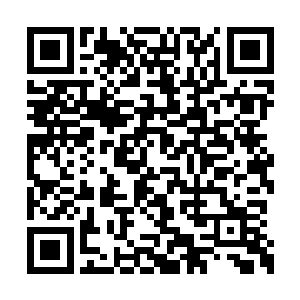 一切发生的很快剩下的那名黑衣人急忙拿出了枪二维码生成